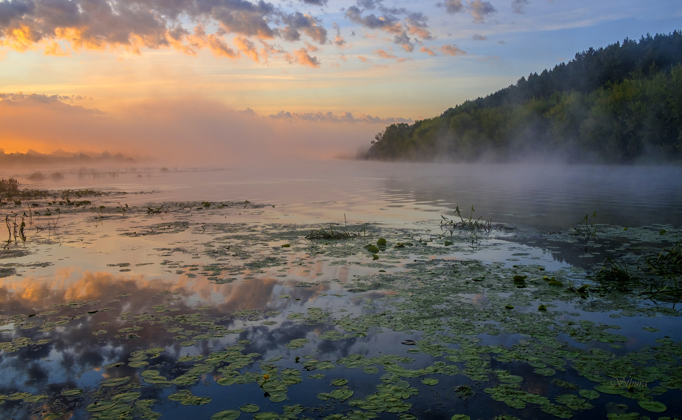 Летом, август.