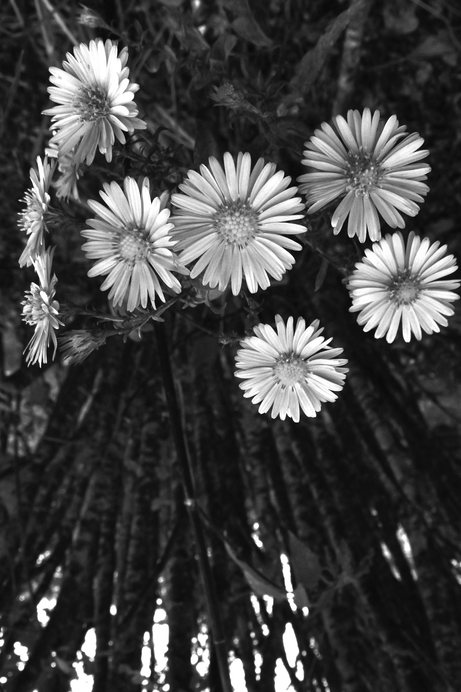 Жизнь вокруг