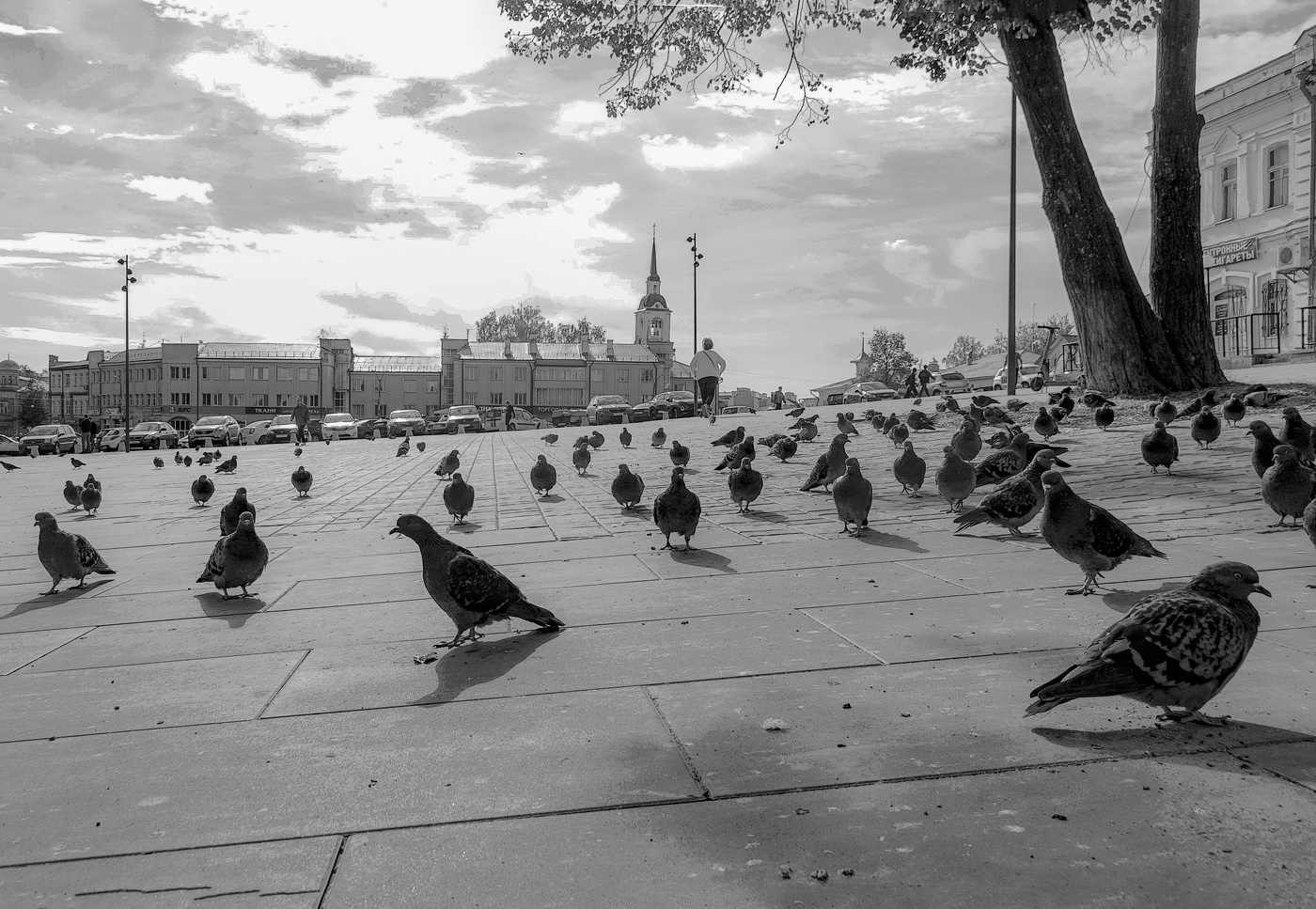 В уездном городе