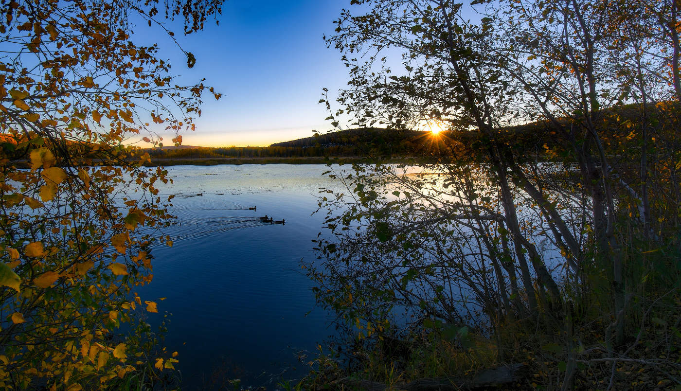 Движение к солнцу