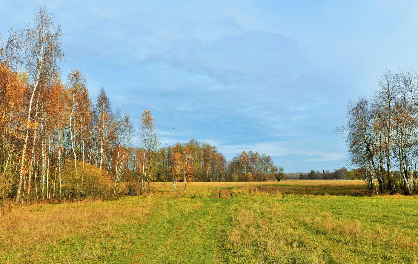 "Снова осень и сердце щемит ..."