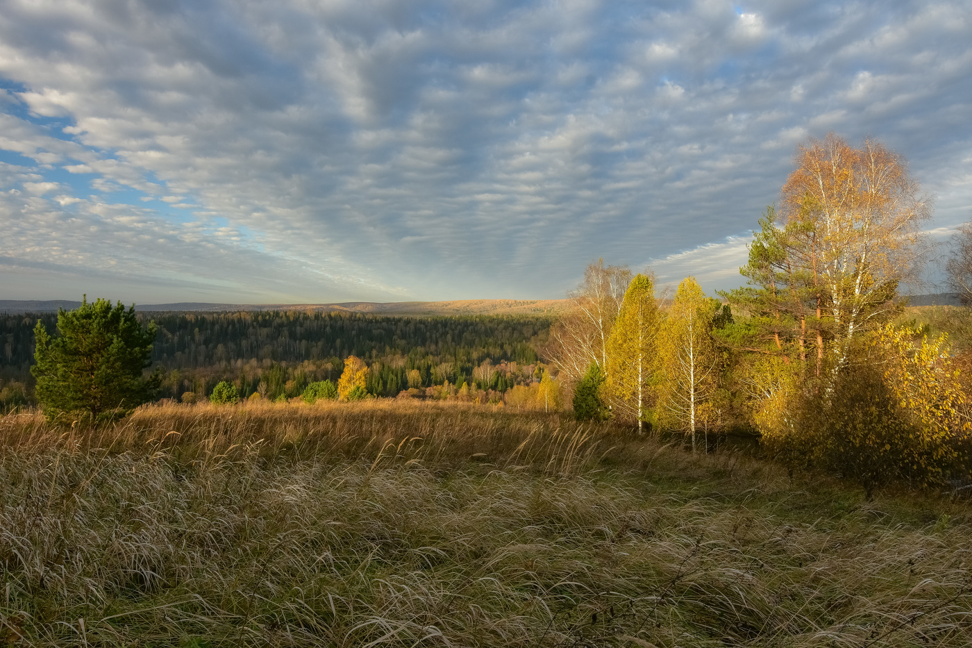 Утро октября
