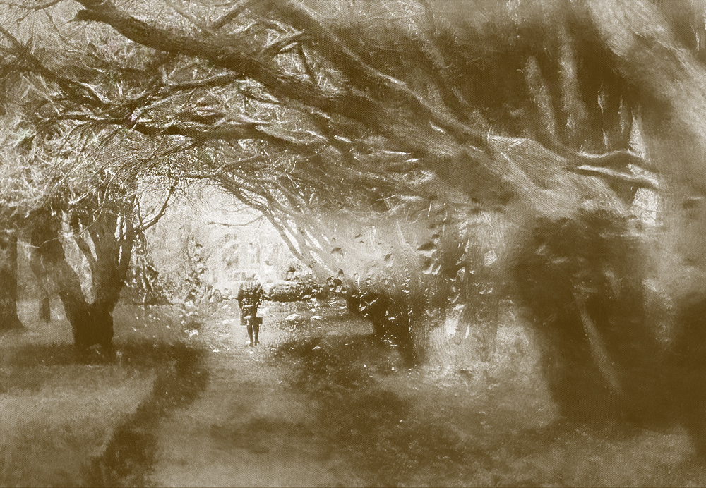 Я вас любил...