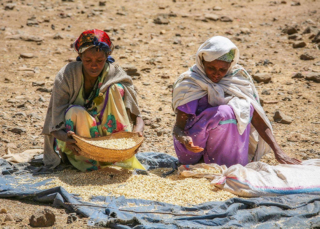 Базарный день 2