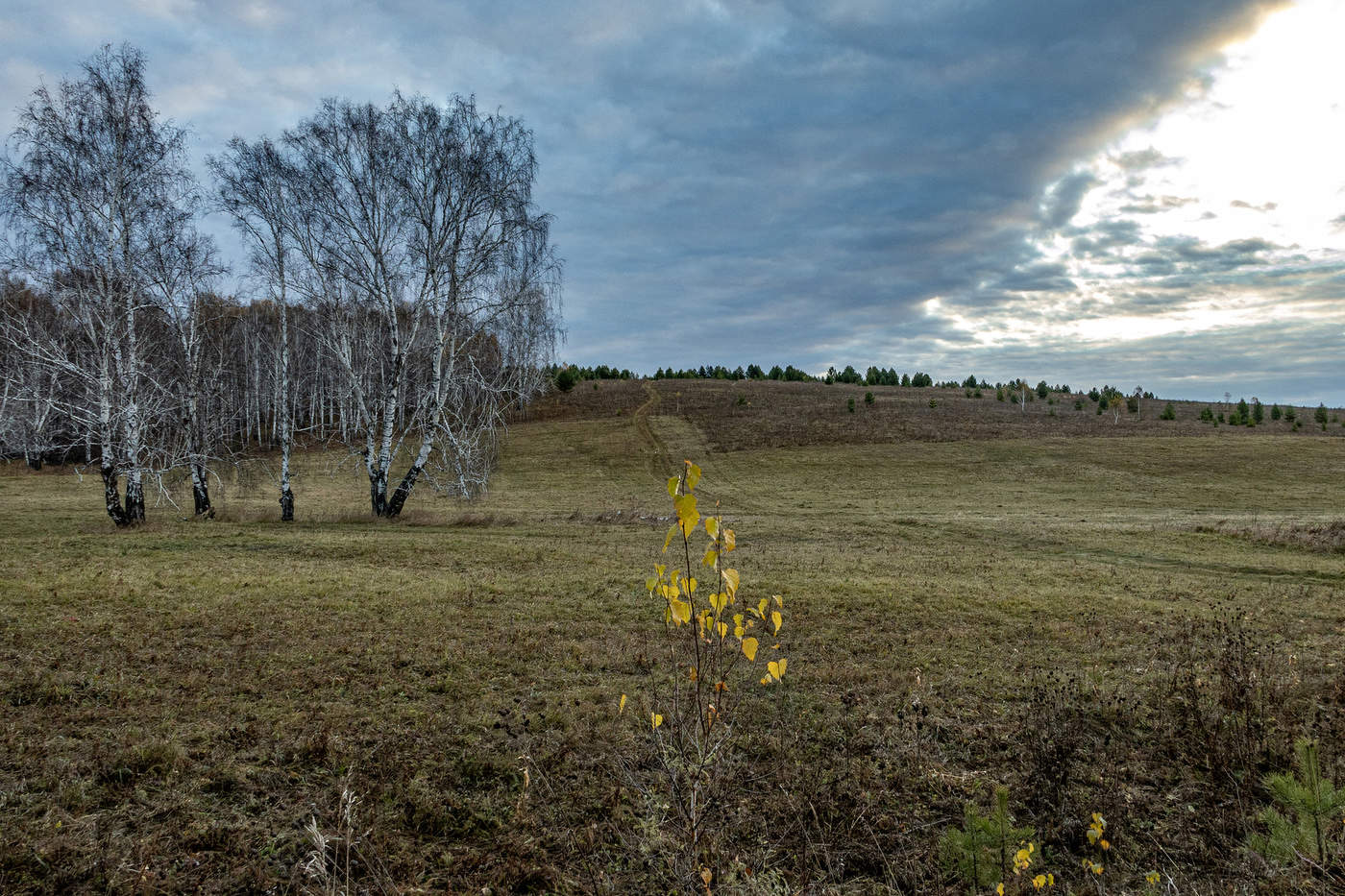 Штрихи осени