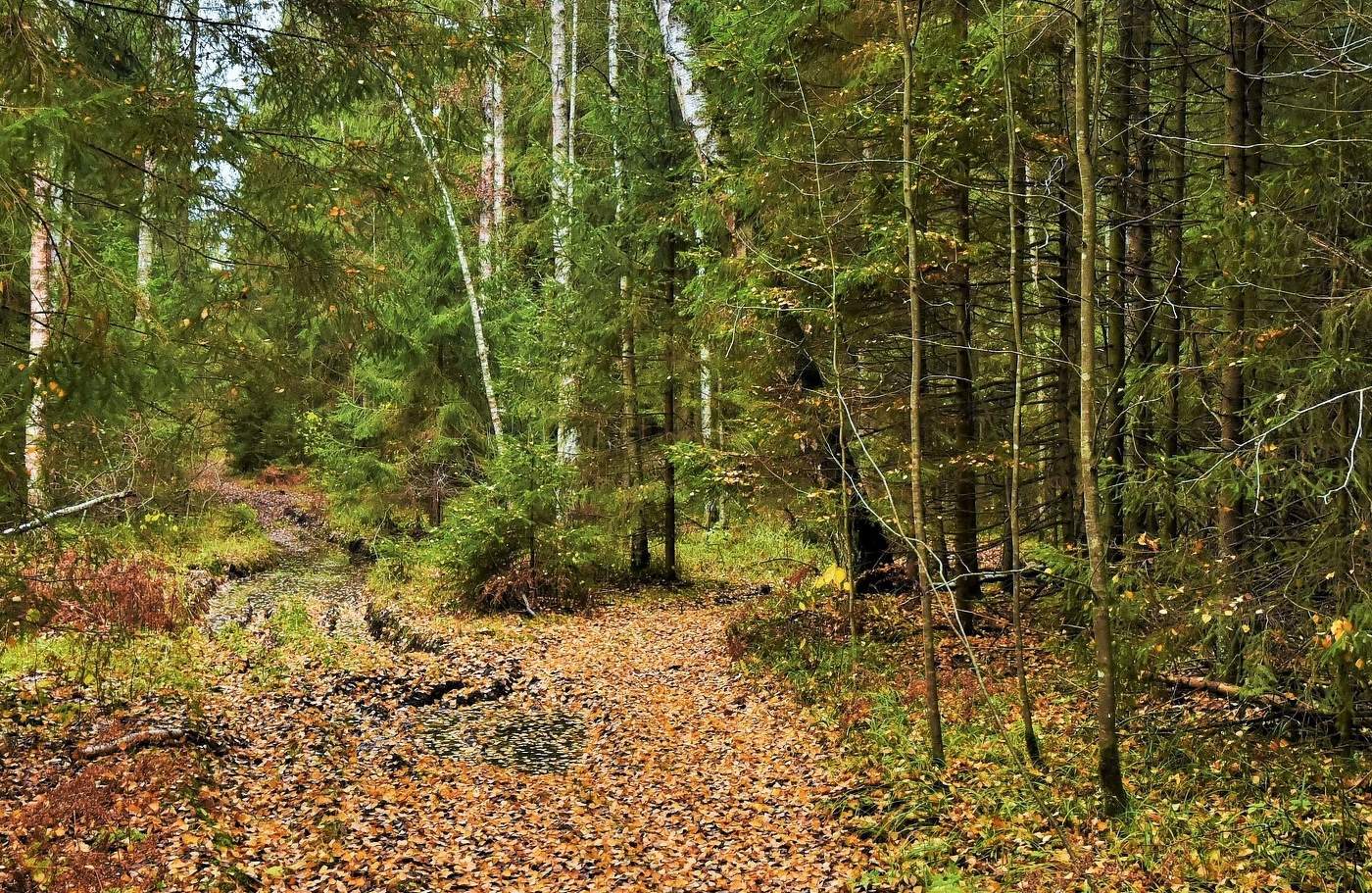 "Осенней, позднею порою ...."