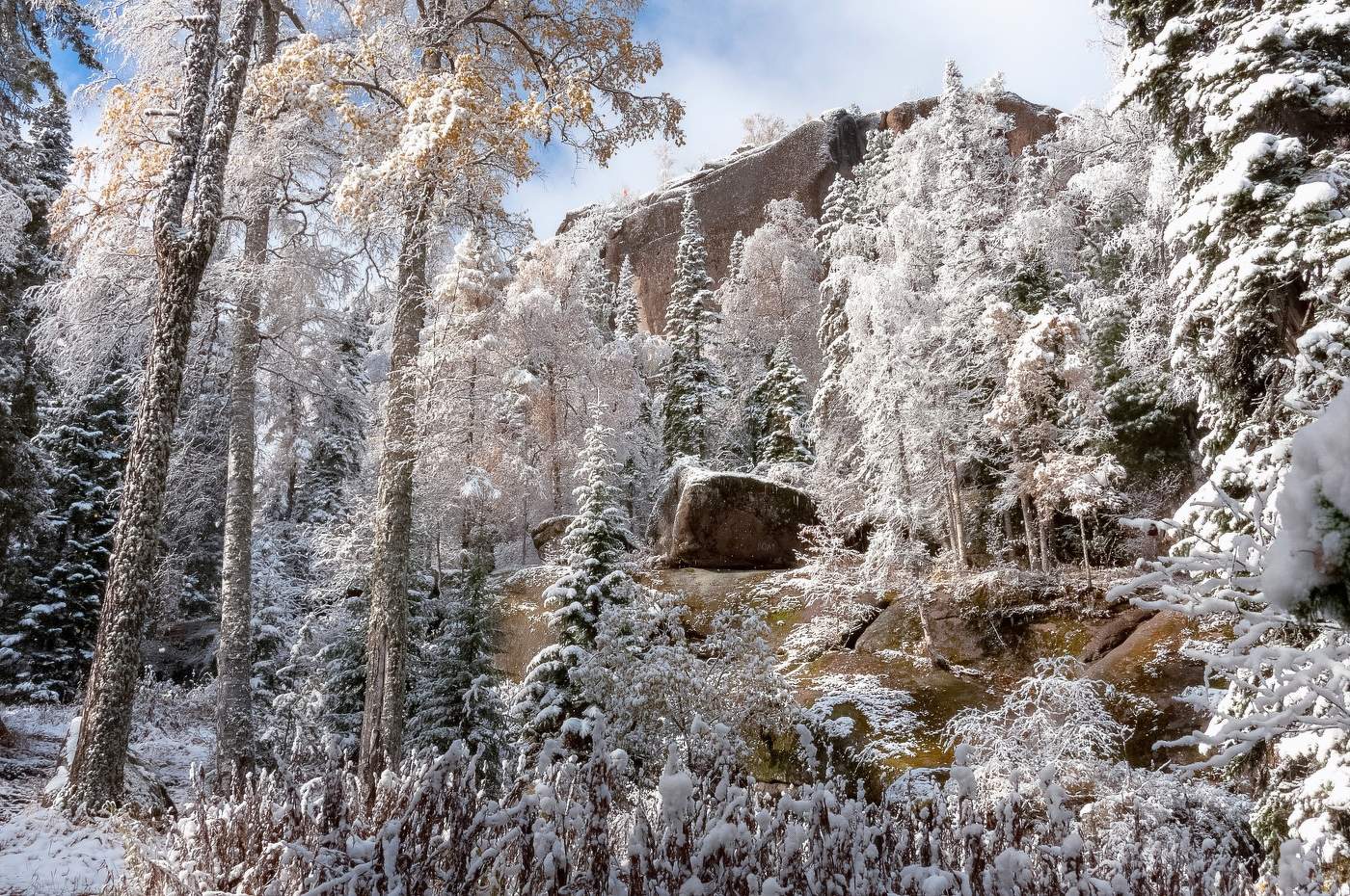Осенний снегопад
