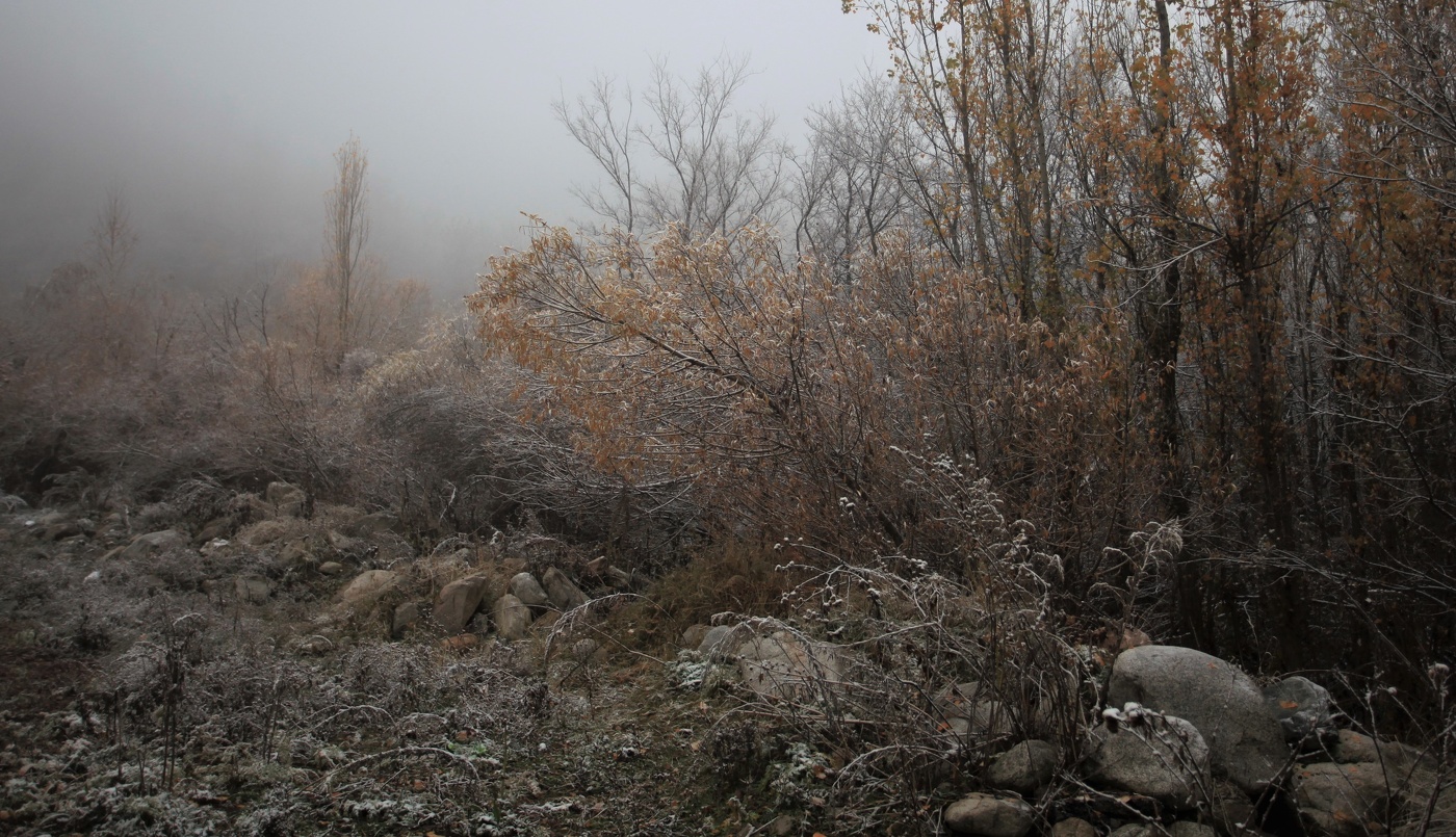 Унылая пора ...