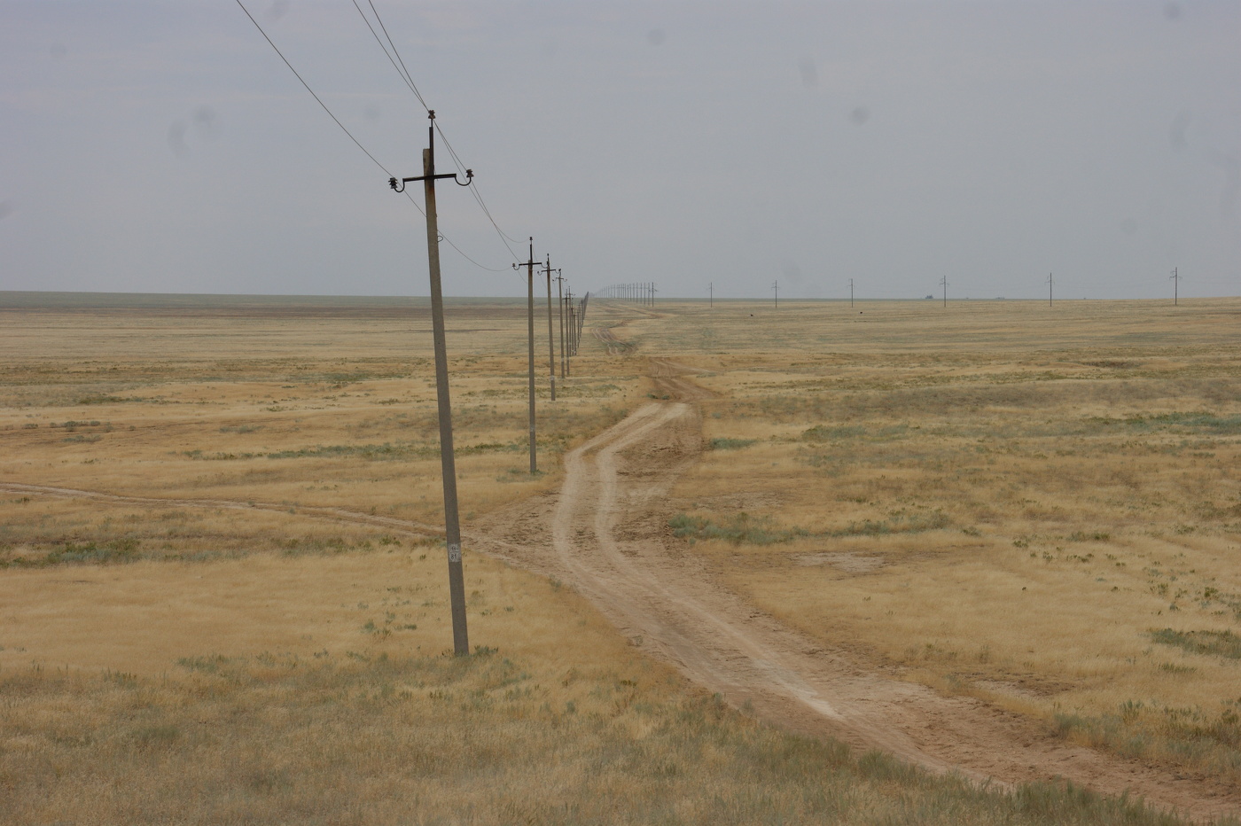 Степная дорога
