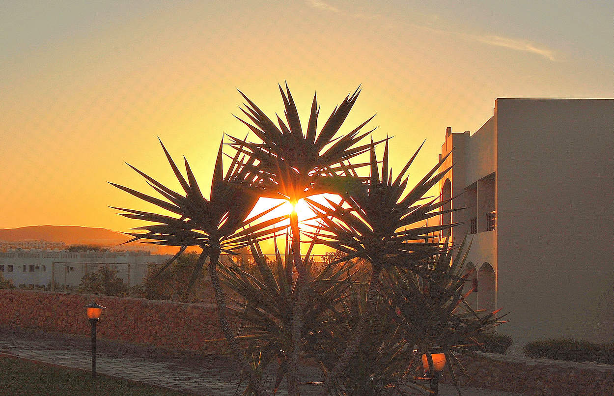 Южным вечером