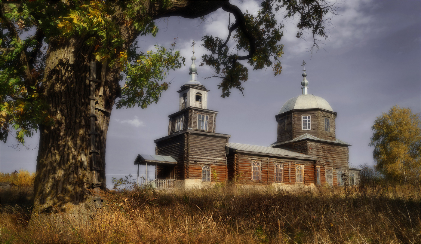 И дуб тенистый