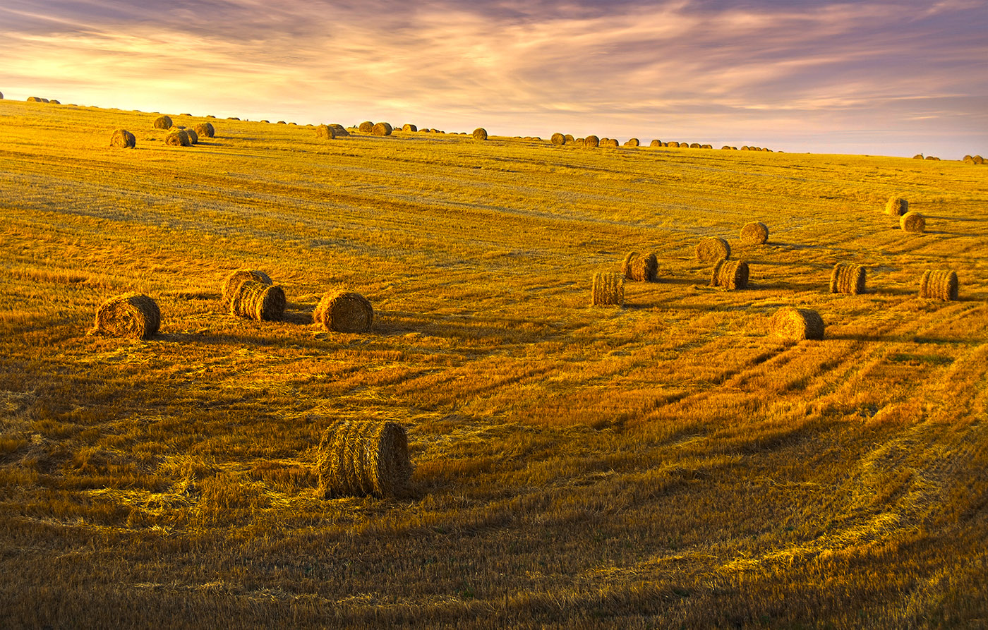 Про катушечки