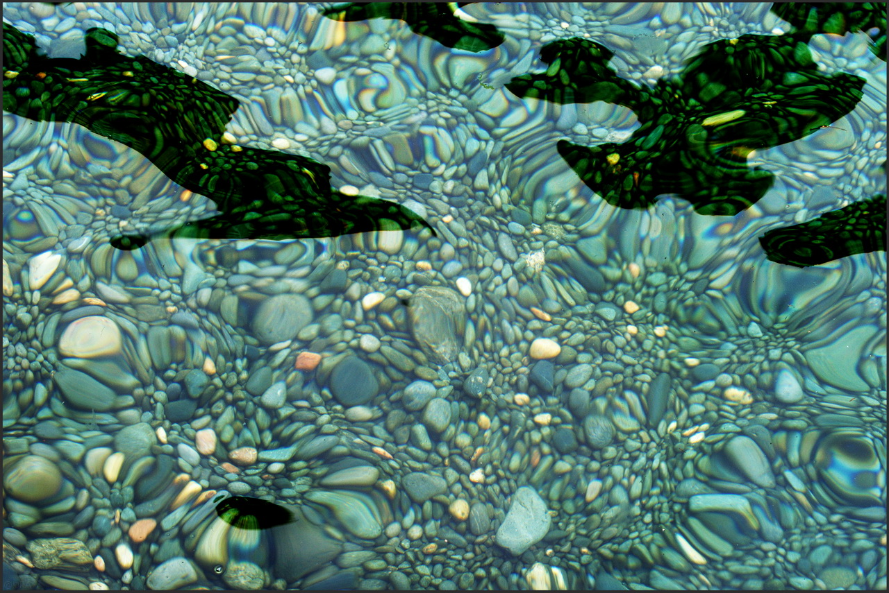 Калейдоскоп прибрежного дна