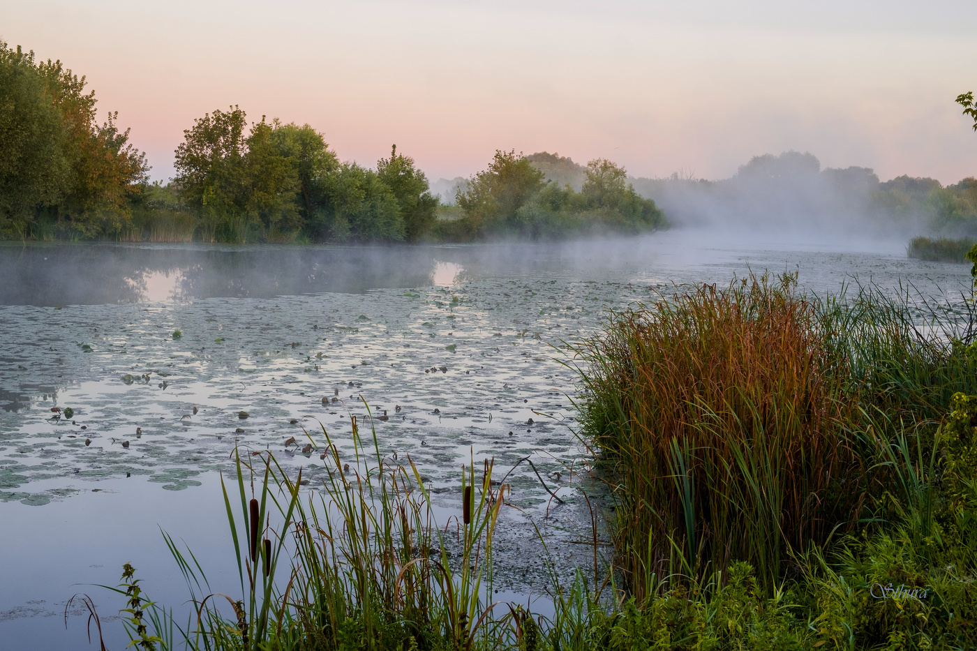 Утро осеннее.