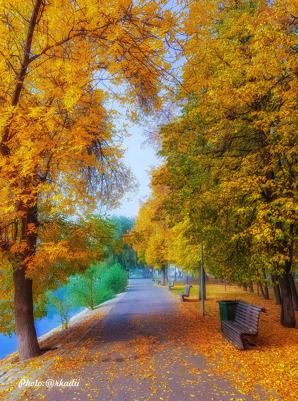 Вот и осень!