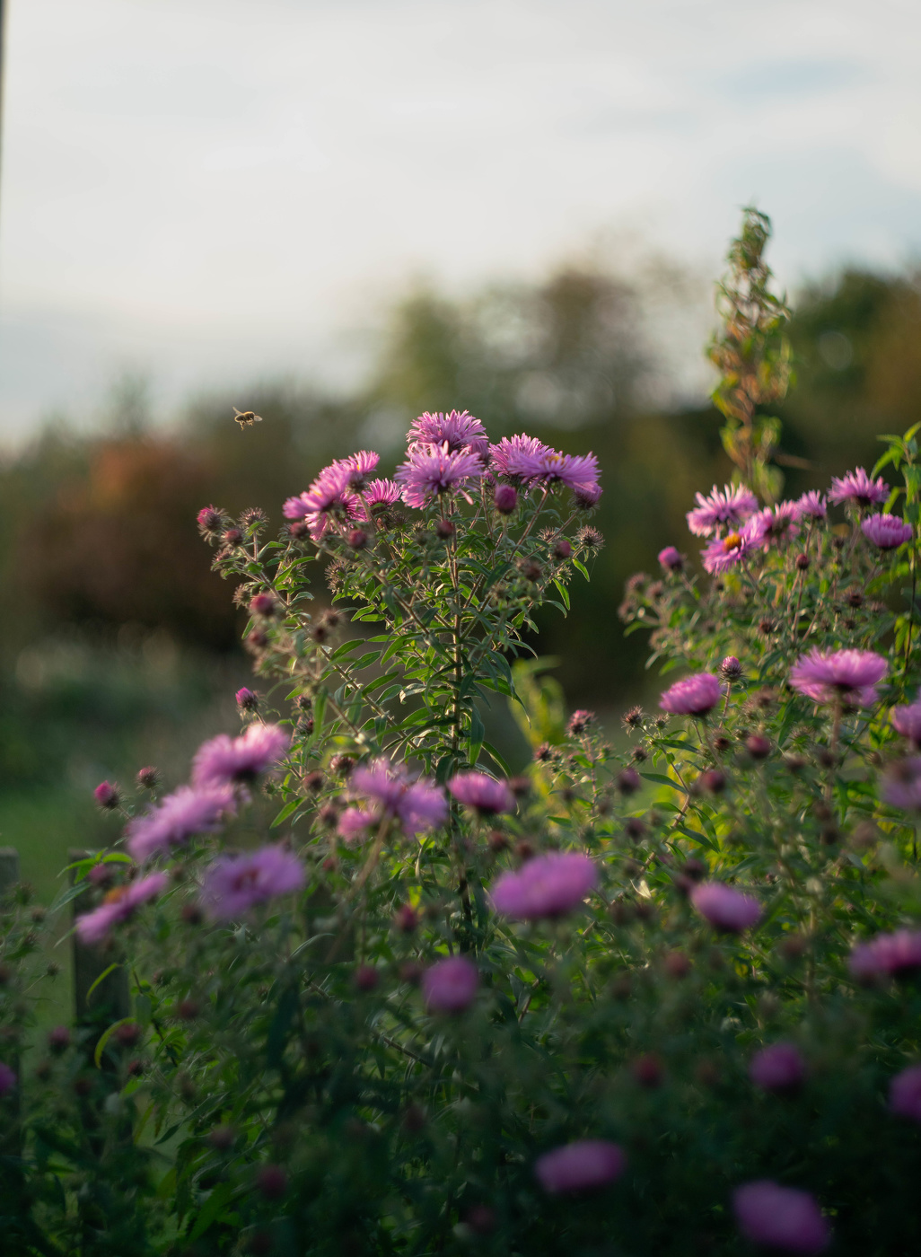 Октябринки