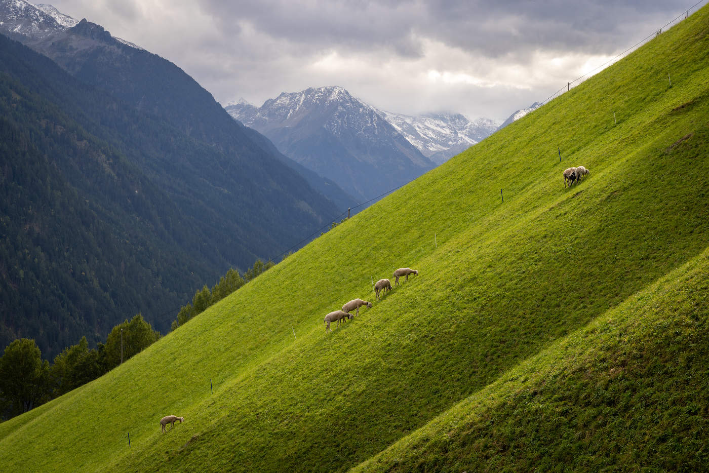 На склоне...