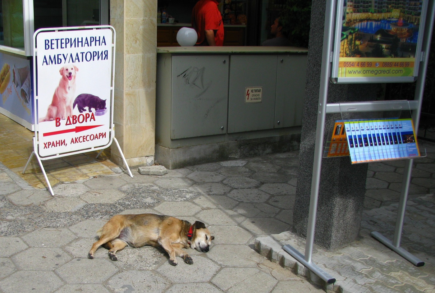 Главное - очередь занять!...
