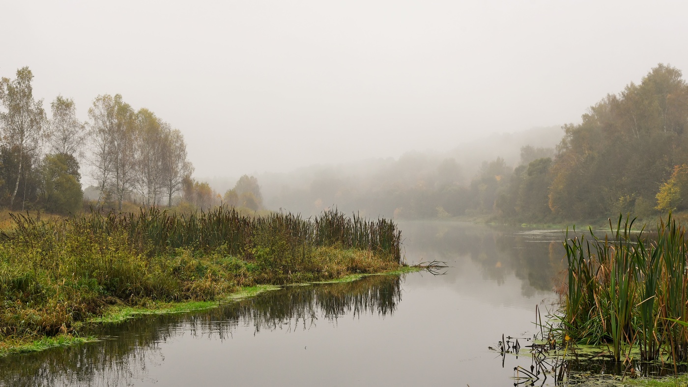 Меланхоличный этюд ...