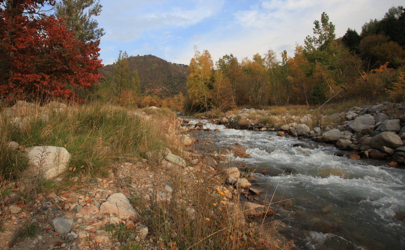 Осенний вечер