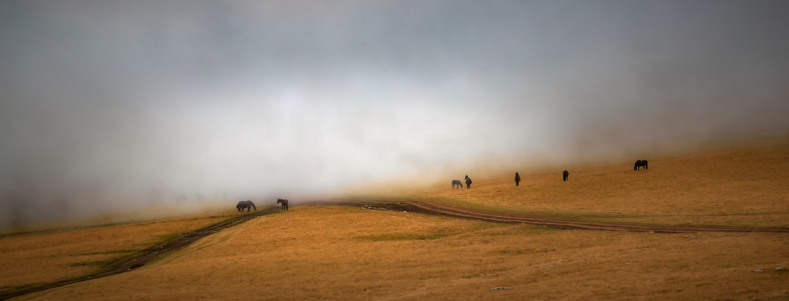 туман надвигается
