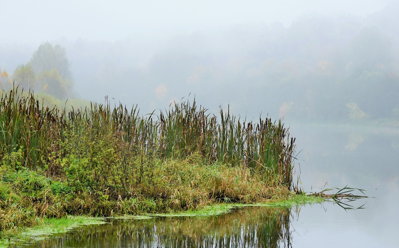"Осенний туман - как улыбка погоды ..."