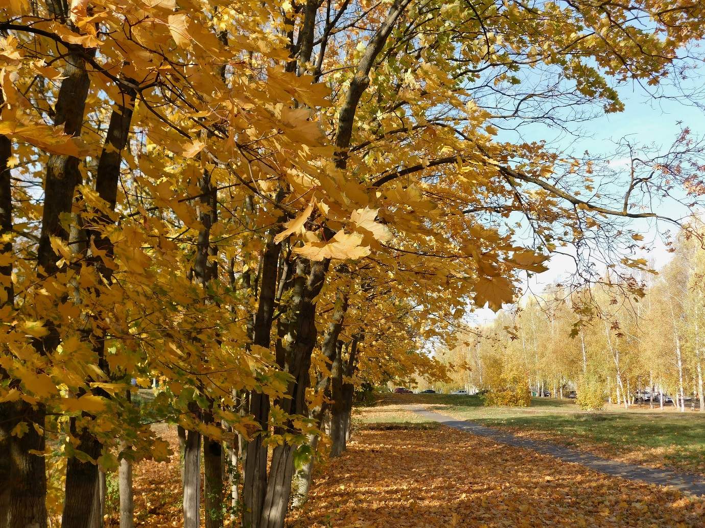 Осенний день