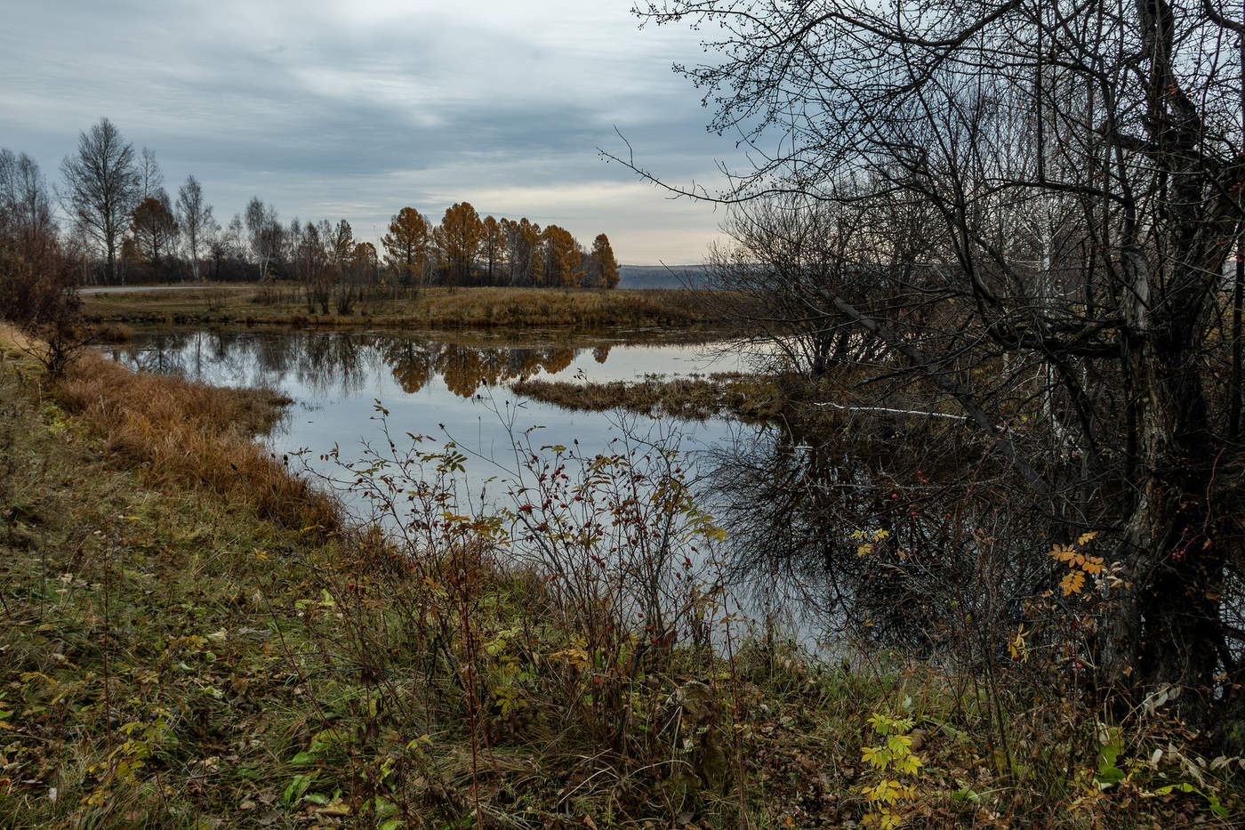 Октябрь цветной