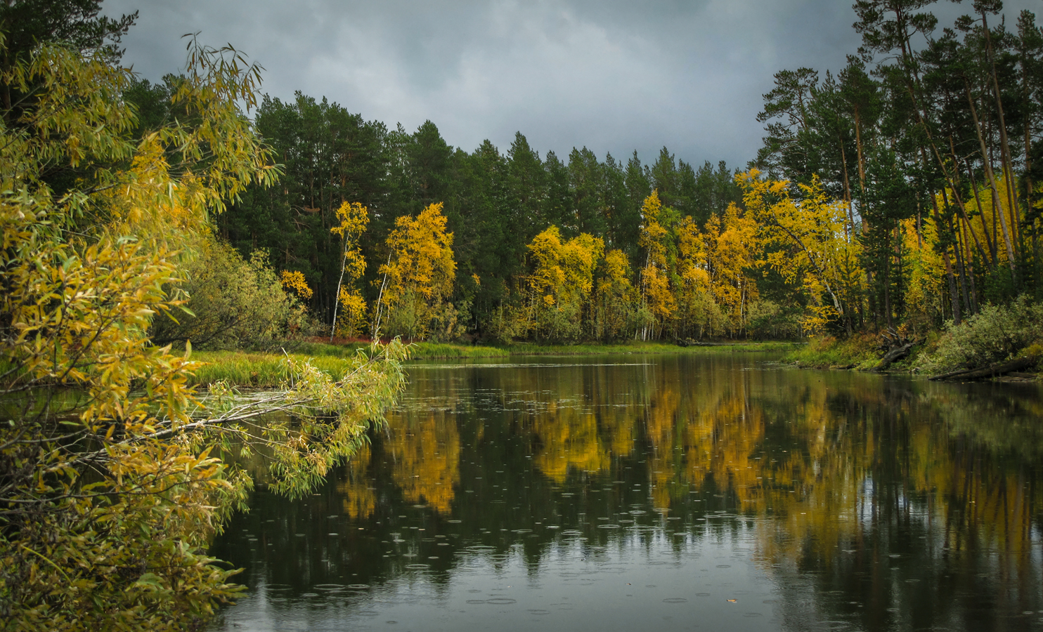 И тихо дождик моросит...