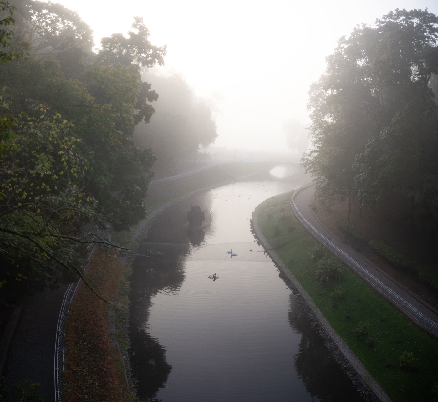 Утренний туман.