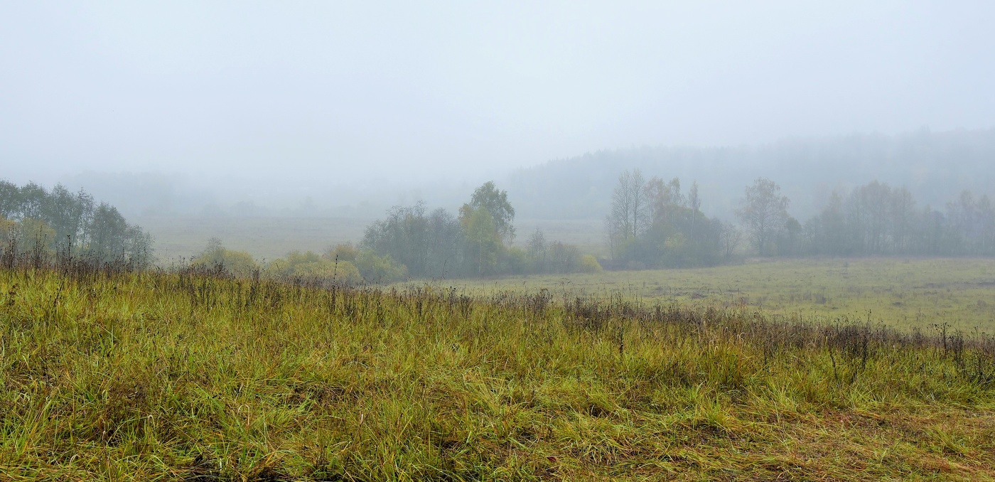 "Осенний туман размывает границы вчера и сегодня, сегодня и завтра..."