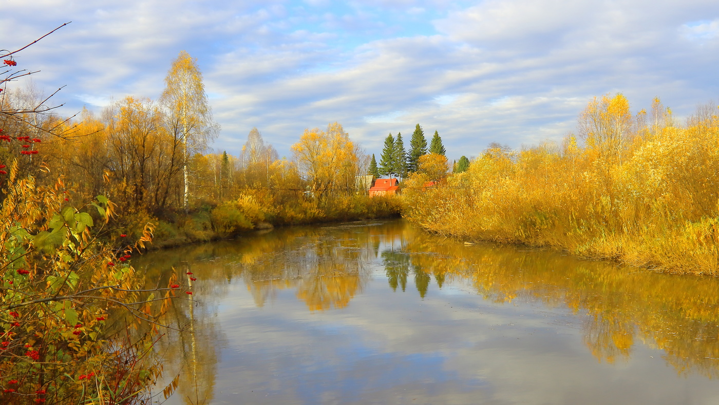 Золото осени