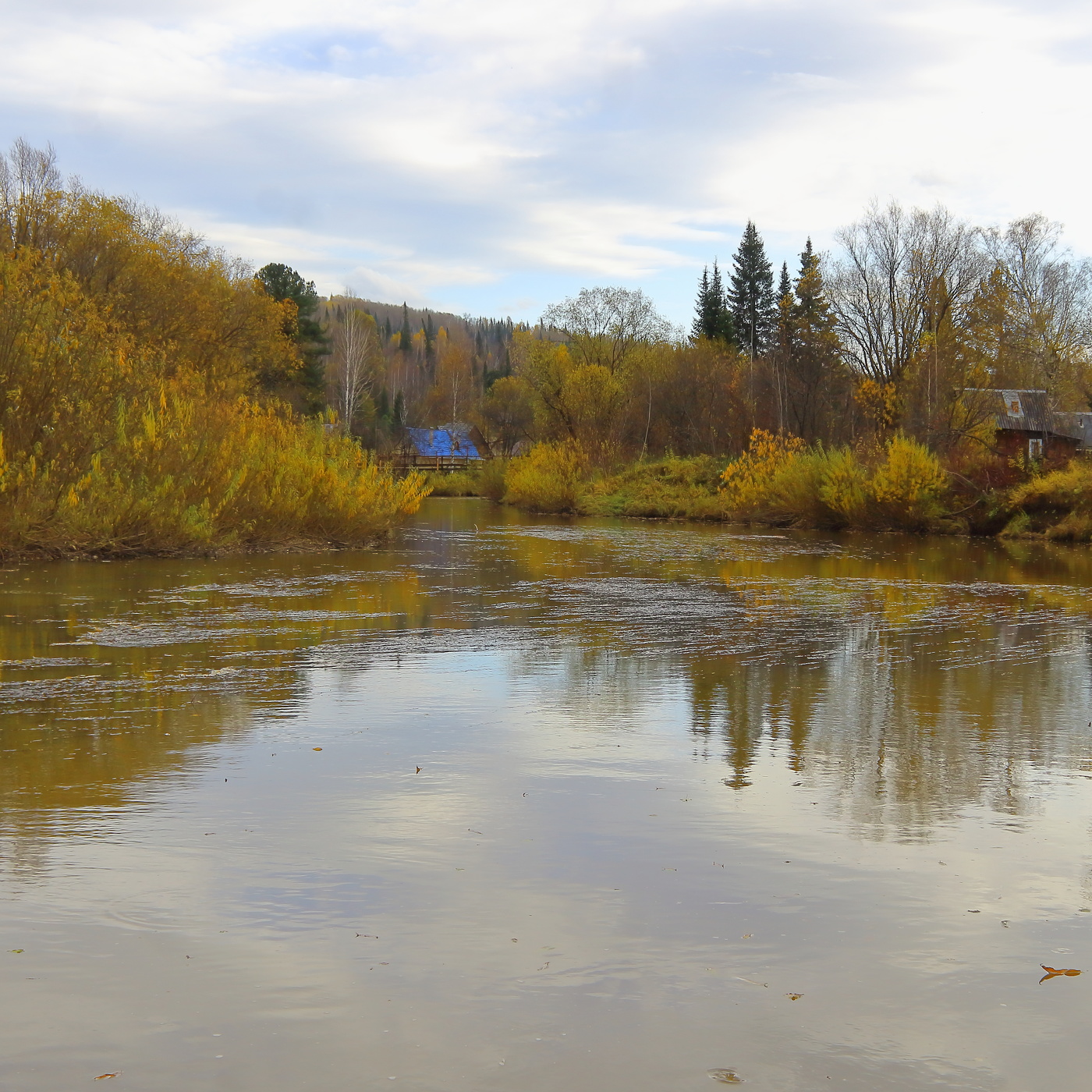 Трепет души
