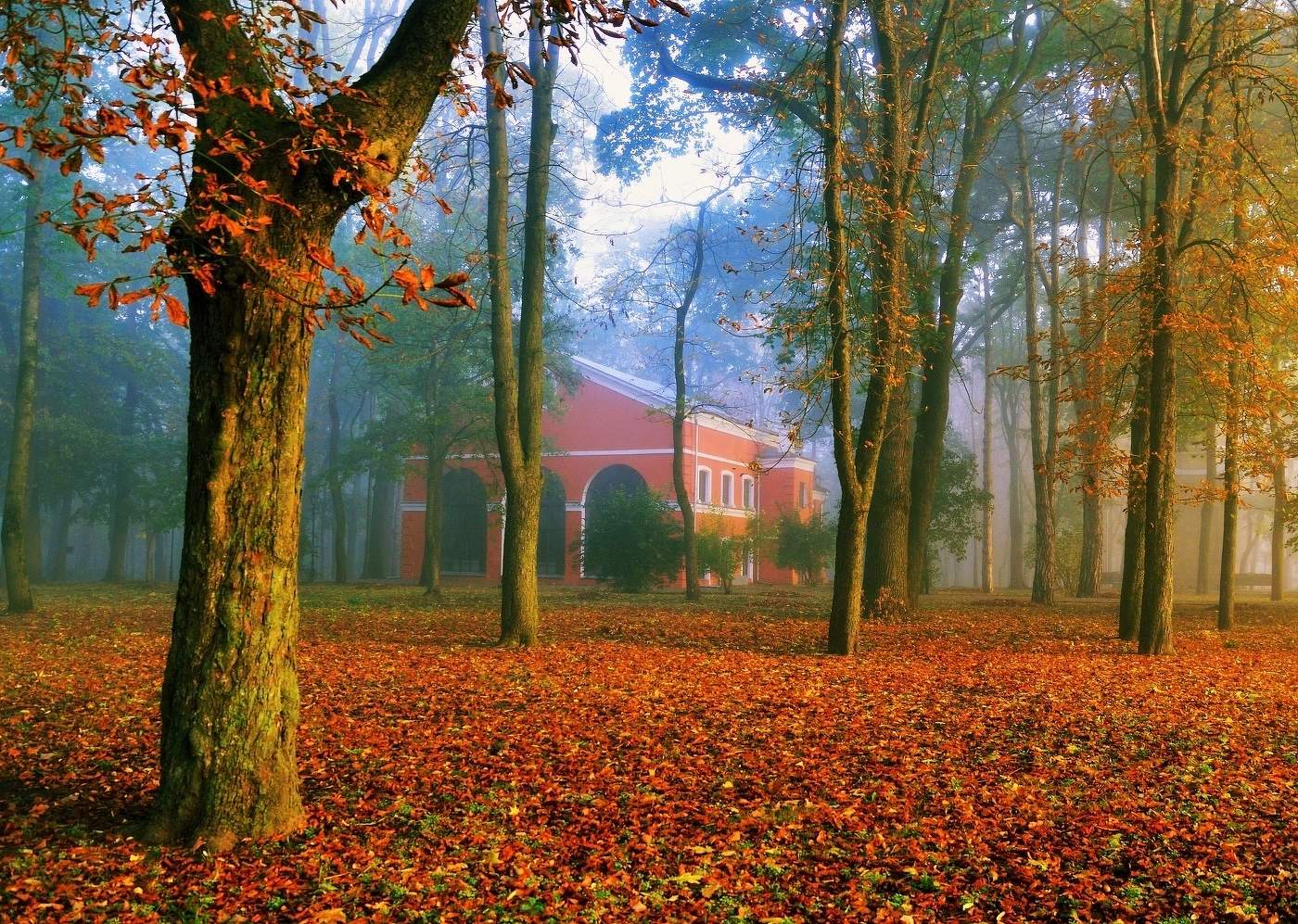 Туманный рассвет