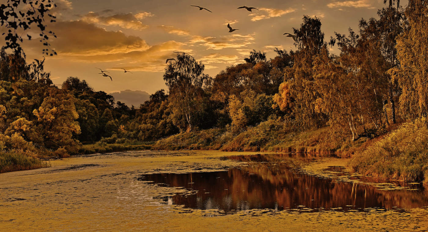 Застыл в покое пруд осенний.