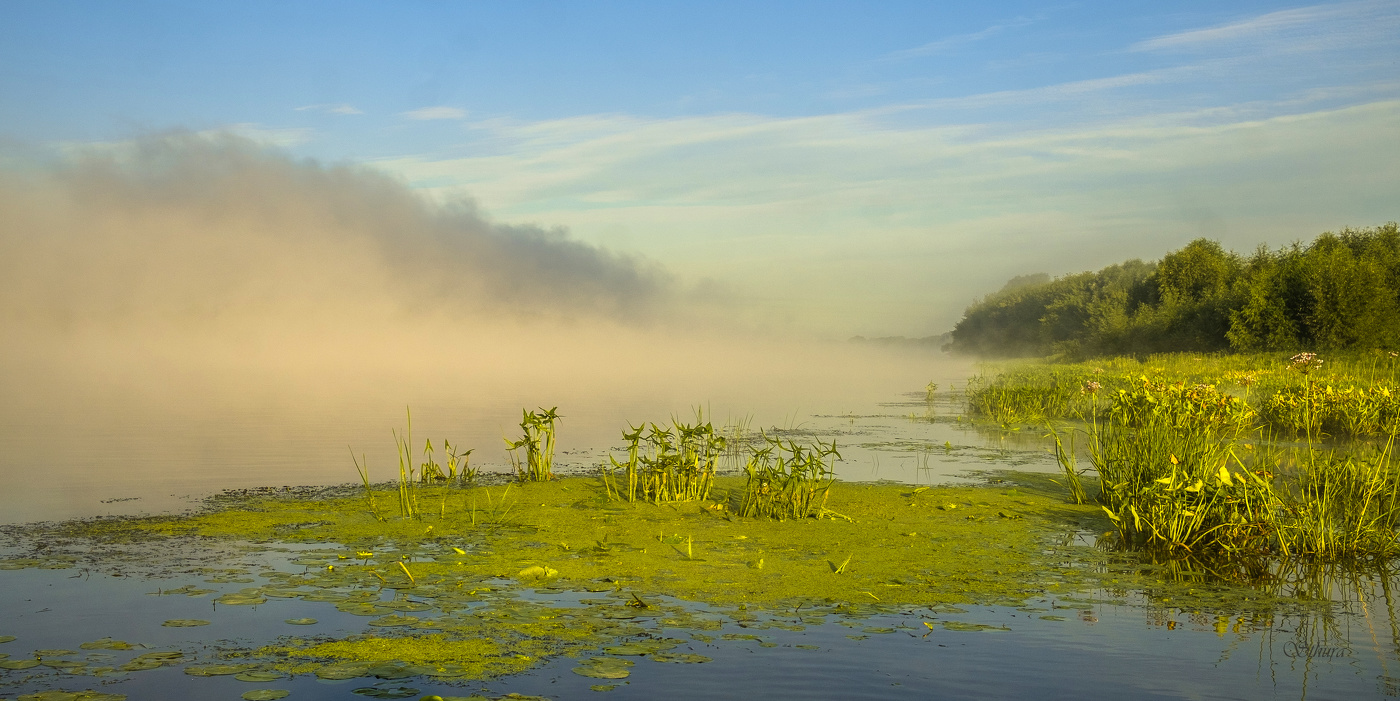 Туман на Оке.