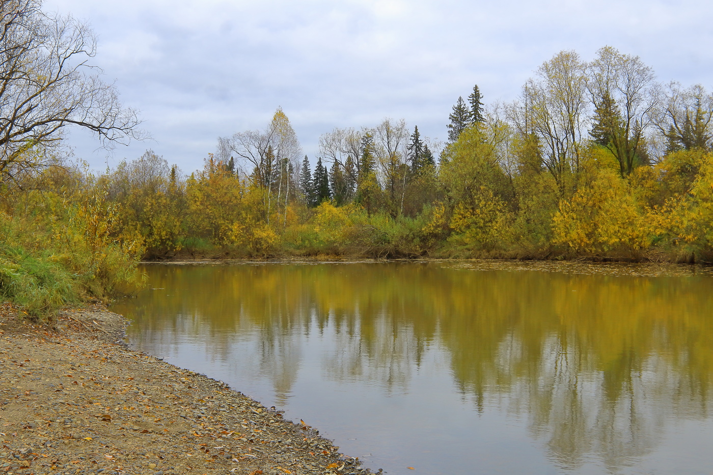Осень на таежной реке