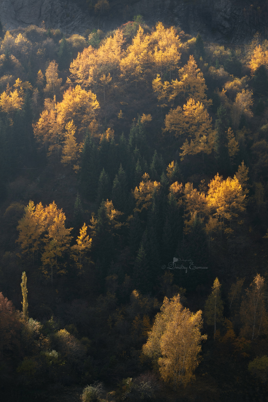 Октябрьские зарисовки...