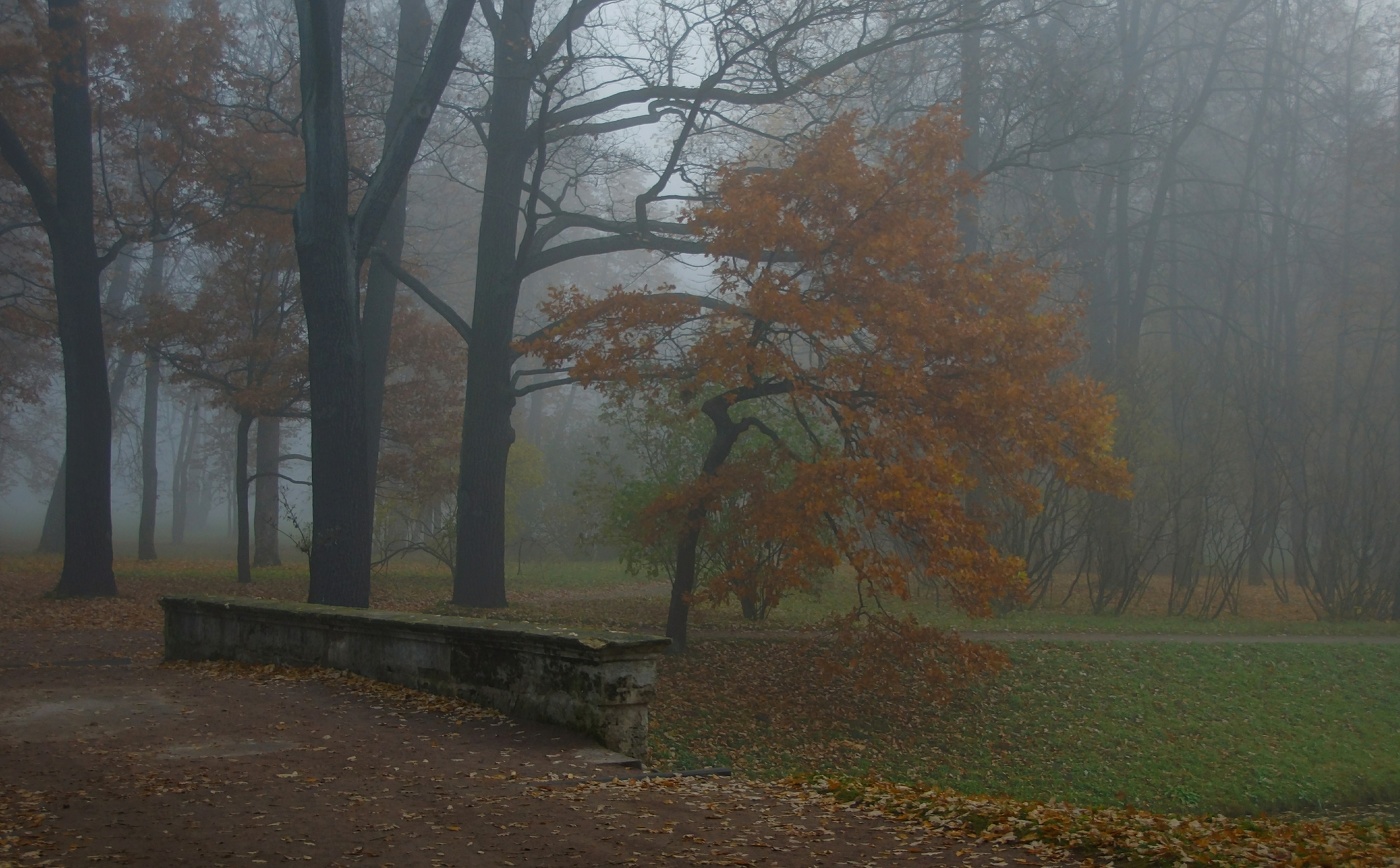 Осеннее утро