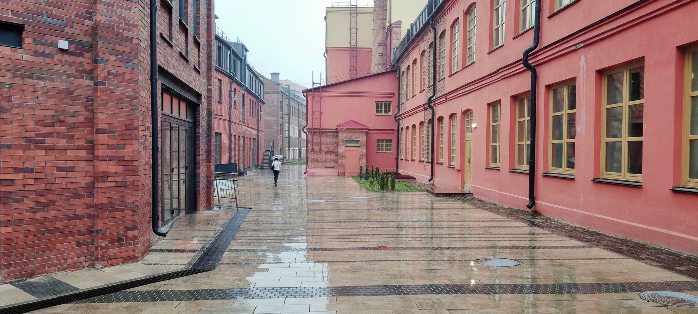 Осенний дождь...