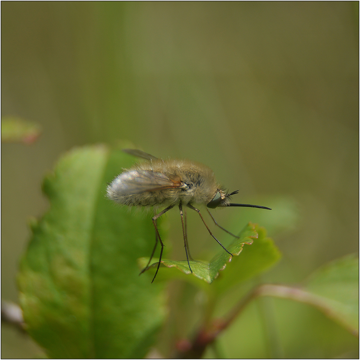 Краткий миг отдыха.