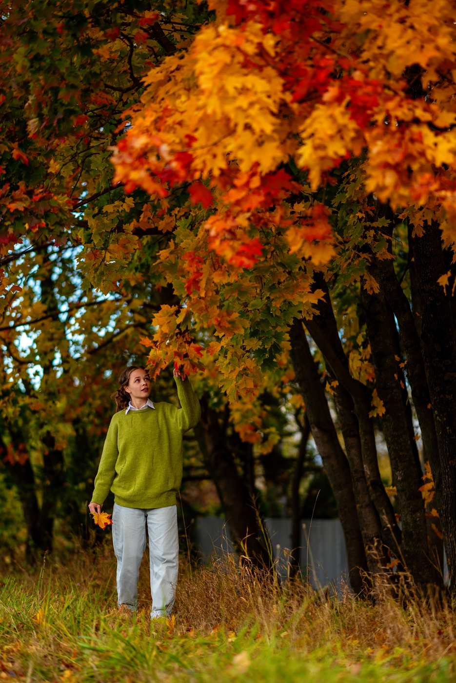В ярком свете октября
