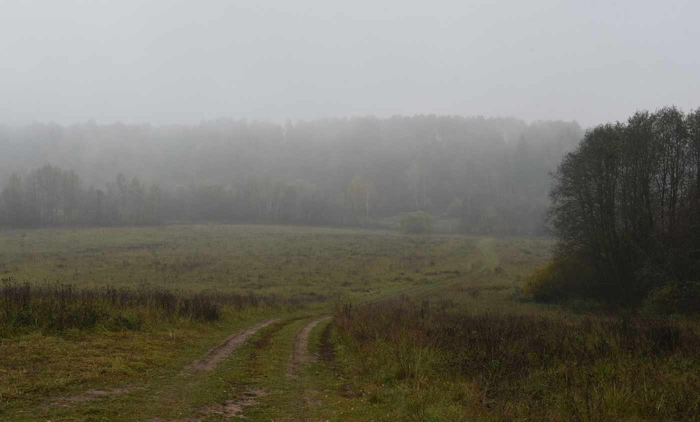 "Пасмурный октябрь осенней дышит стужей ..."