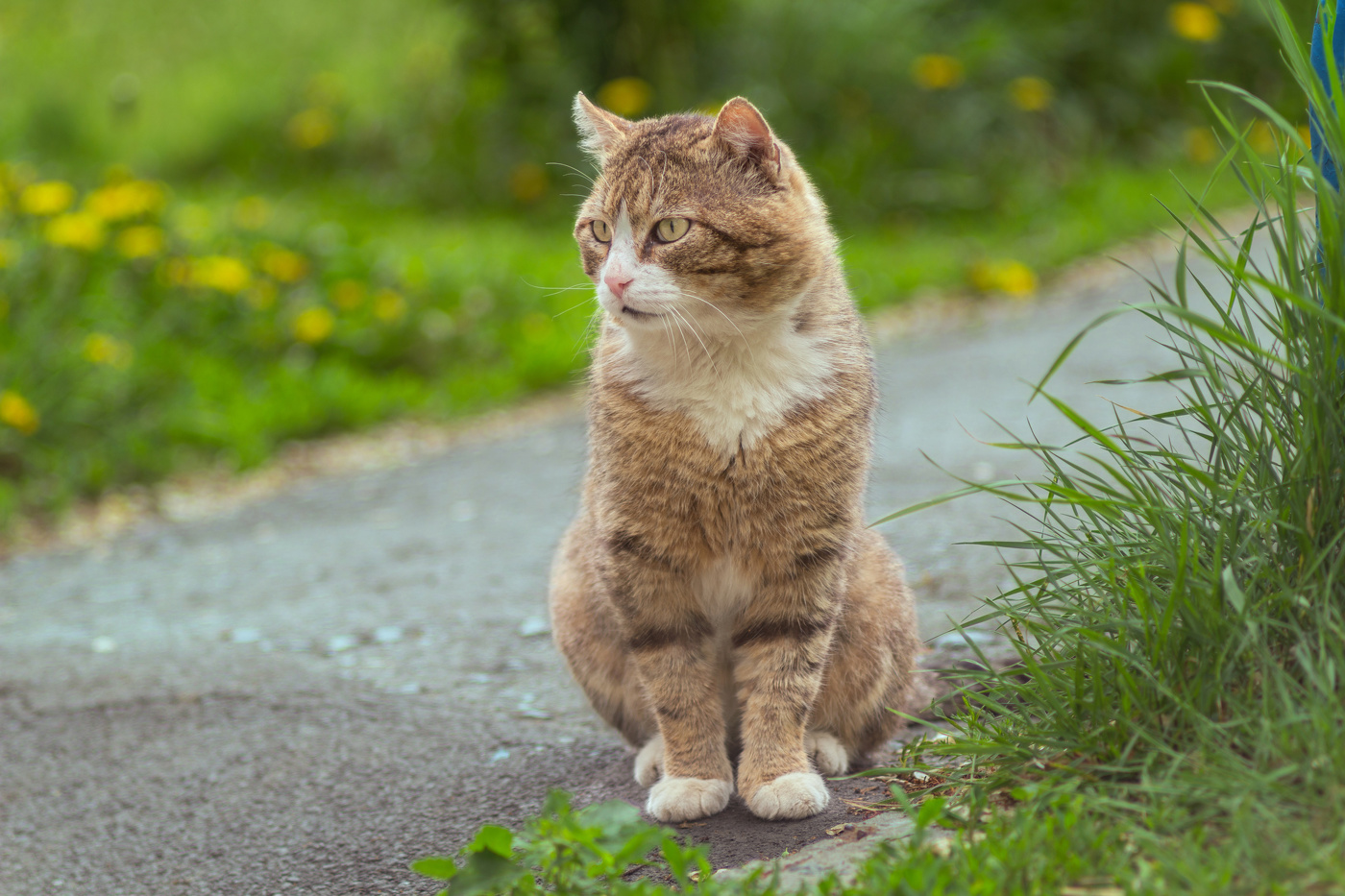 "туды твою в качель"