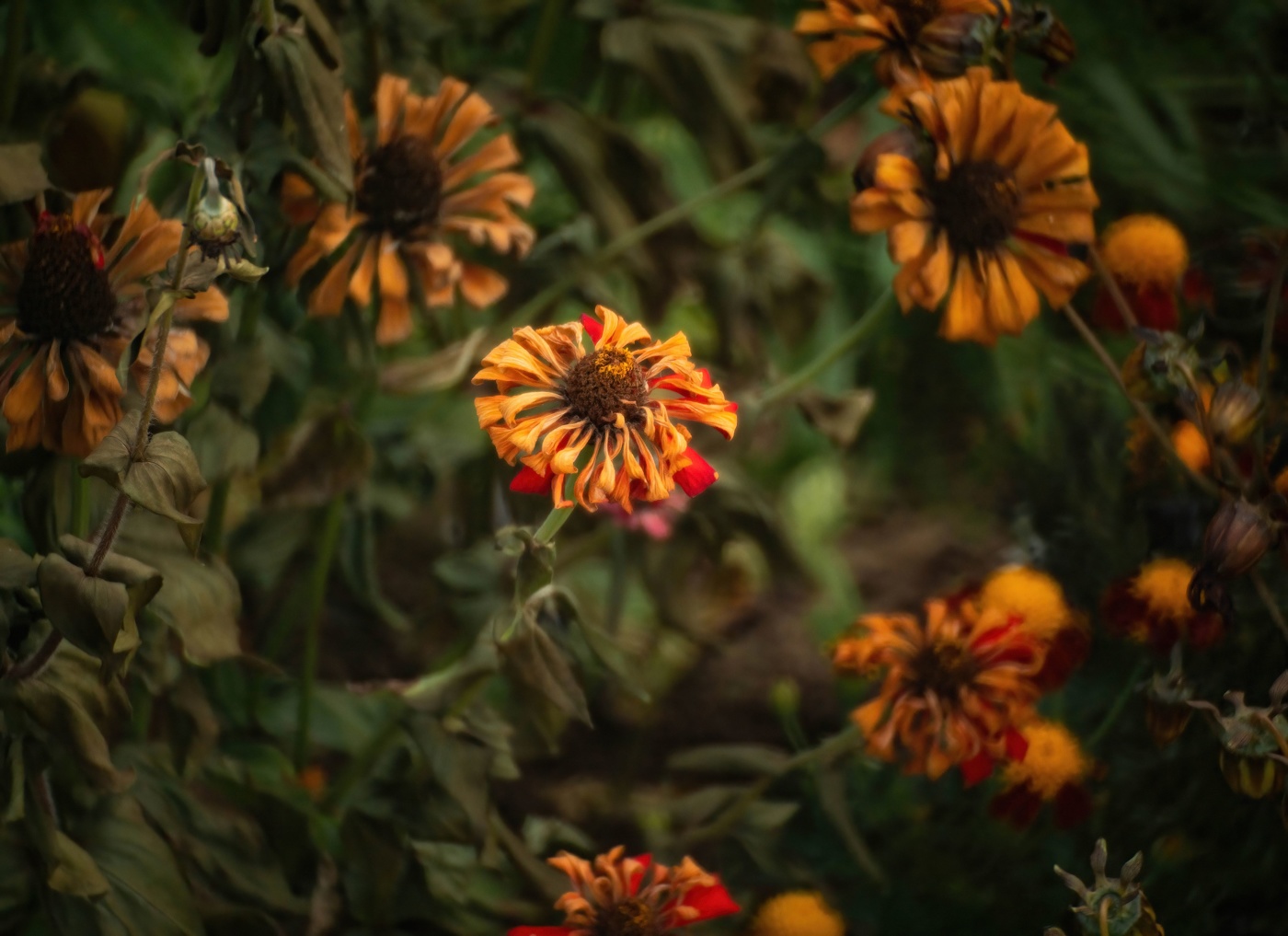 Вот и лето прошло...