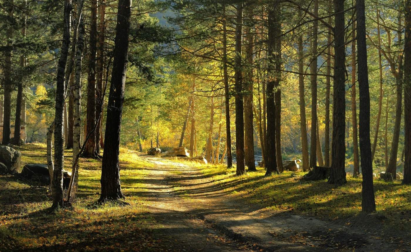 Садилось солнце