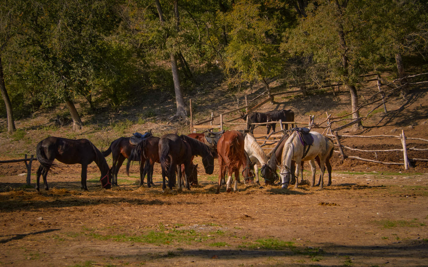 Солнечным днем