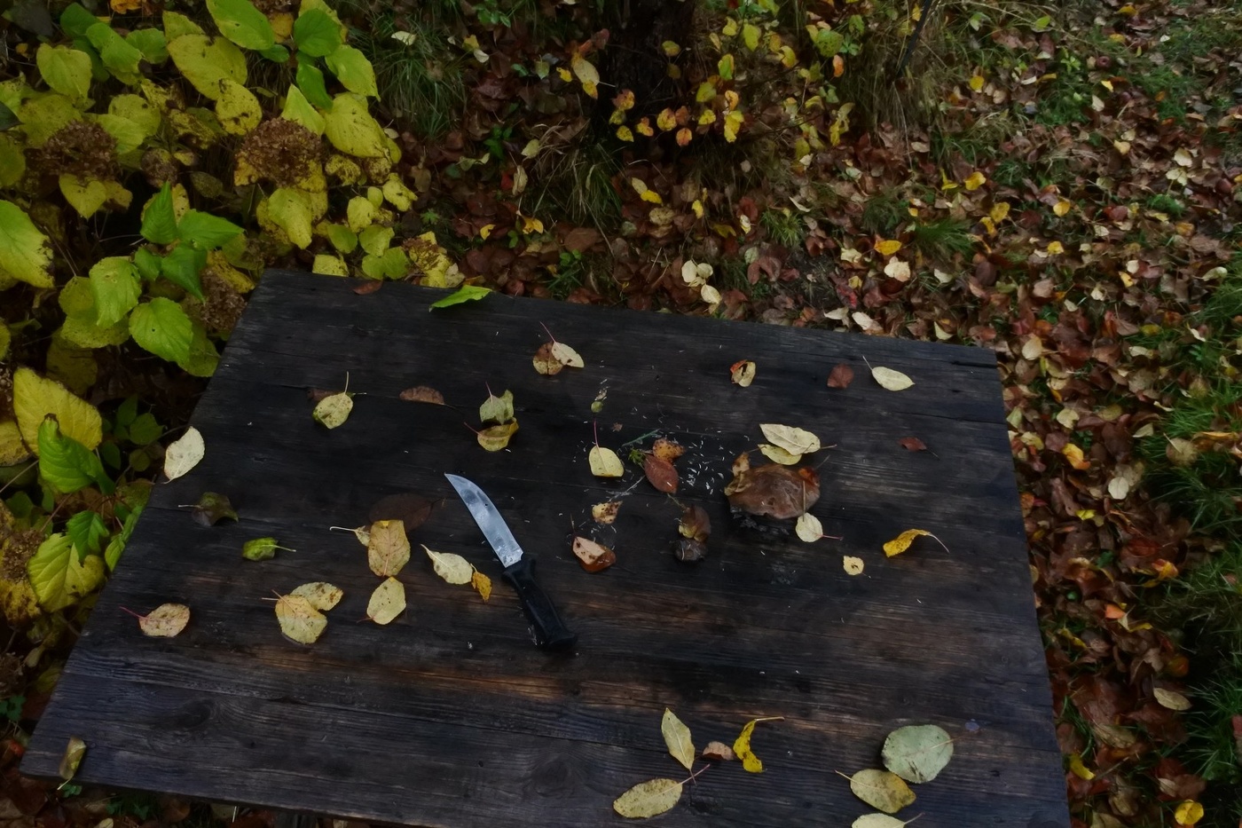 Жизнь вокруг