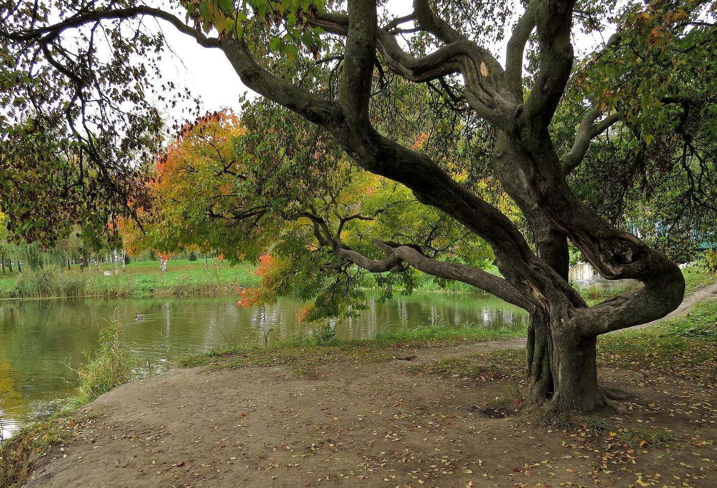 взяла Осень в руки краски
