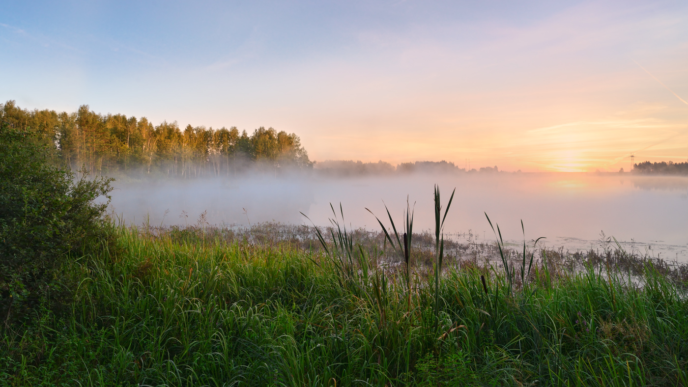 туманное утро